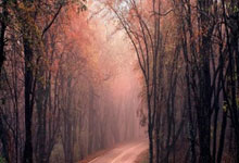 配资投资平台:高手股票论坛-苹果供应链将迎来大重整？供应商若不自动化生产将失去未来合同